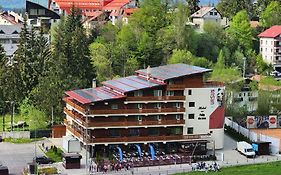 Cabana Fulg De Nea Predeal